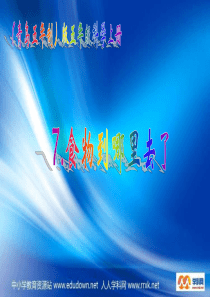 青岛小学科学五年级上册6食物到哪里去了PPT课件2