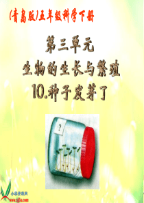 青岛小学科学五年级下册10种子发芽了PPT课件2