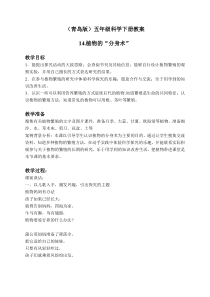 青岛小学科学五年级下册14植物的分身术word教案1