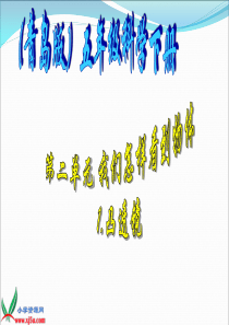 青岛小学科学五年级下册5凸透镜PPT课件4