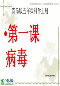 青岛小学科学六年级上册1病毒PPT课件2