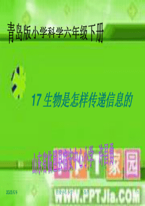 青岛小学科学六年级下册17生物是怎样传递信息的PPT课件3