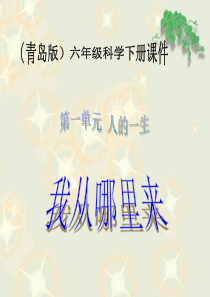 青岛小学科学六年级下册2我从哪里来PPT课件2
