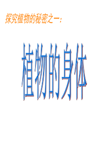 青岛小学科学四年级上册1植物的身体PPT课件2