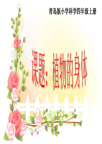 青岛小学科学四年级上册1植物的身体PPT课件9