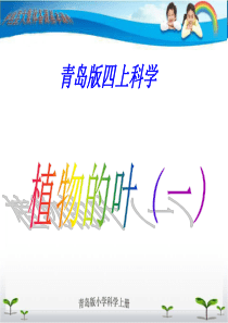 青岛小学科学四年级上册3植物的叶PPT课件1