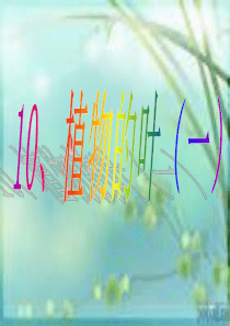 青岛小学科学四年级上册3植物的叶PPT课件4