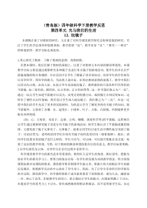 青岛小学科学四年级下册10玩镜子word教案2
