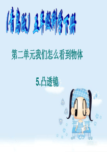 青岛小学科学四年级下册13凸透镜PPT课件8