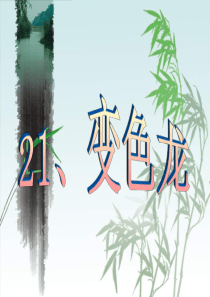 青岛小学科学四年级下册16变色龙PPT课件2