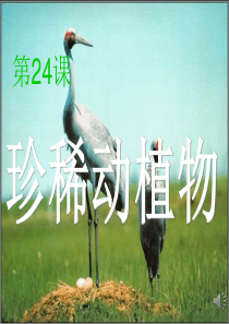 青岛小学科学四年级下册20珍稀动植物PPT课件3