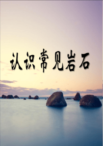 首师大小学科学三年级上册16岩石PPT课件