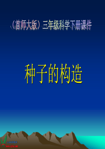 首师大小学科学三年级下册13种子的构造PPT课件4