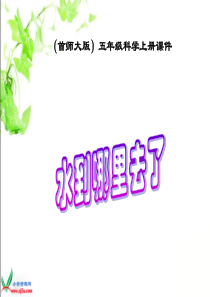 首师大小学科学五年级上册1水到哪里去了PPT课件3