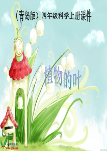 首师大小学科学四年级上册5各种各样的叶PPT课件