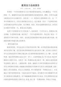 语文师范生教育实习总结报告