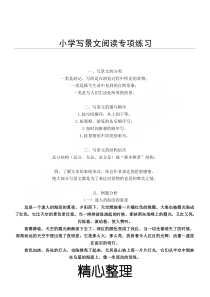 重点小学写景文阅读专项练习测试