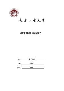 苹果案例分析
