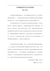 中信泰富项目可行性分析简报