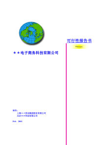 电子商务科技有限公司可行性报告