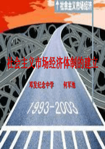 社会主义市场经济体制的建立高一历史课件