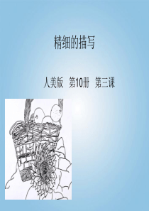 人教版小学美术美术五下第6课精细的描写PPT课件1