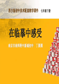 苏少版美术七下第三课在临摹中感受ppt课件1