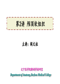 颅顶软组织