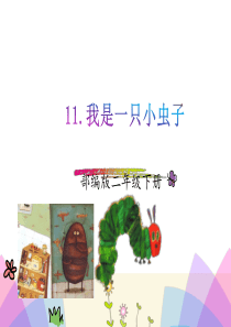 《我是一只小虫子》赛课ppt