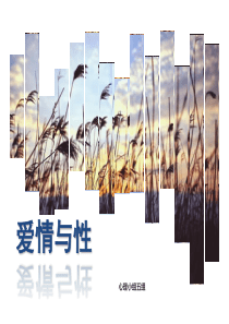 心理健康-爱情与性