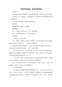 中班科学活动(各种各样的鱼)