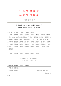 商务服务平台项目资金管理办法