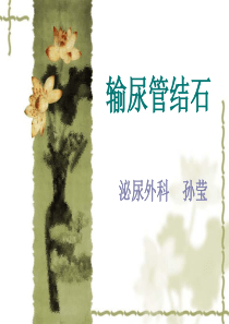 输尿管结石讲课定稿版