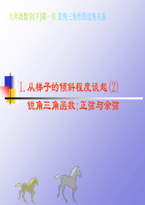 1.1 从梯子的倾斜程度谈起(2)锐角三角函数――正弦与余弦0