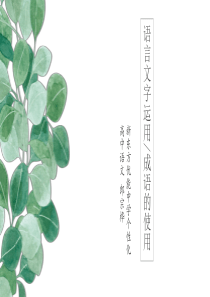 语言文字运用：成语