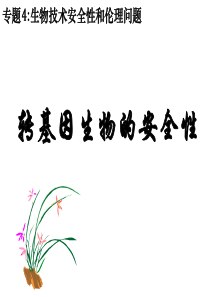 讲课使用-转基因生物的安全性(公开课)