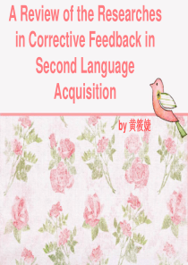 Corrective-feedback纠错反馈