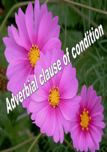 Grammar 条件状语从句和让步状语从句