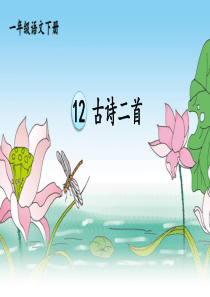 一年级下册12-古诗二首池上小池