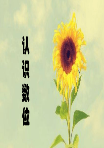 《认识数位》课件