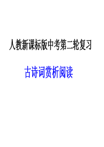 中考语文复习《古诗词赏析阅读》课件(精)