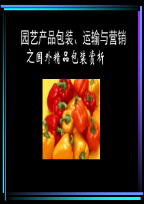 07级电力电子技术考试试题(A卷)