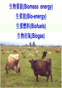 生物质能(biomass