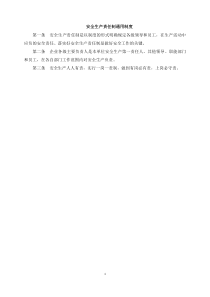 宁夏鲁人能源化工有限公司安全生产管理制度