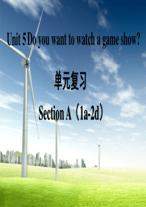 人教版八年级英语上册第五单元复习课件Unit-5-Do-you-want-to-watch-a-ga