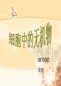细胞中的水说课稿