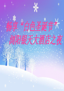 酒店圣诞晚会策划方案