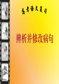 高考语文复习：辨析并修改病句