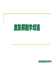 皮肤解剖学综述