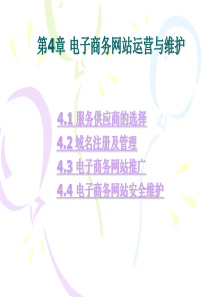 电子商务网站运营与维护